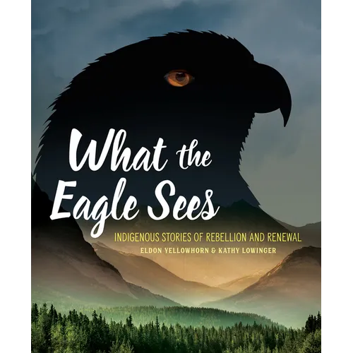 What the Eagle Sees: Indigenous Stories of Rebellion and Renewal