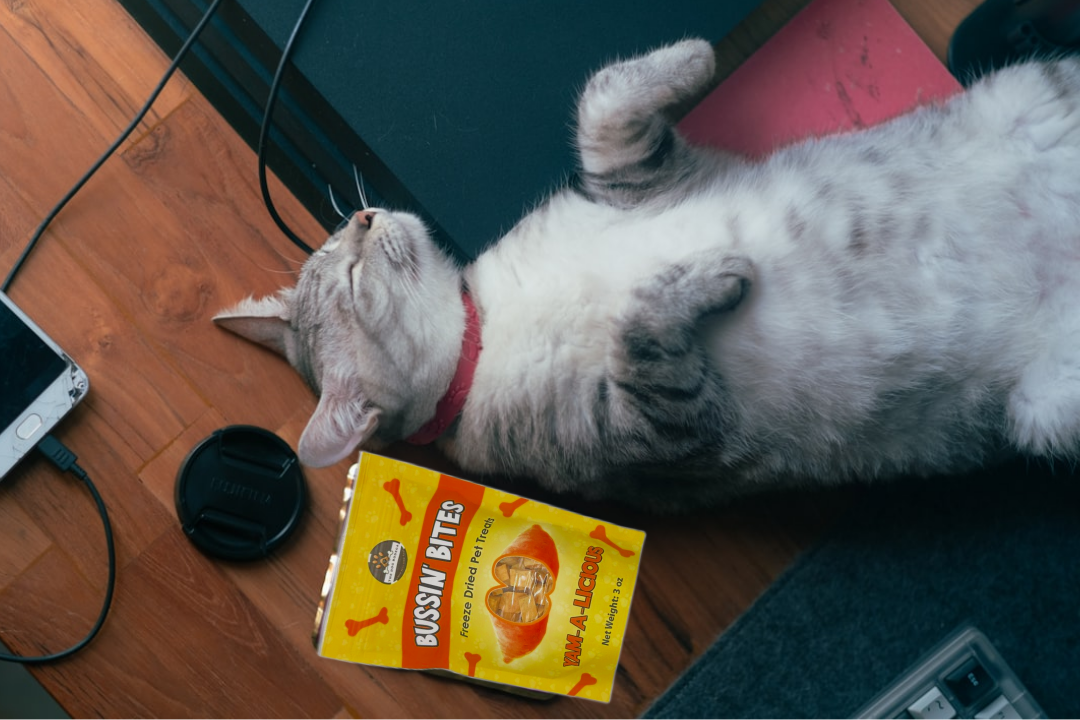 Freeze Dried Dog & Cat Treats – Single Ingredient, High Protein, Grain Free | Natural Cat & Dog Training Snacks, Human-Grade Sweet Potato (Yam)