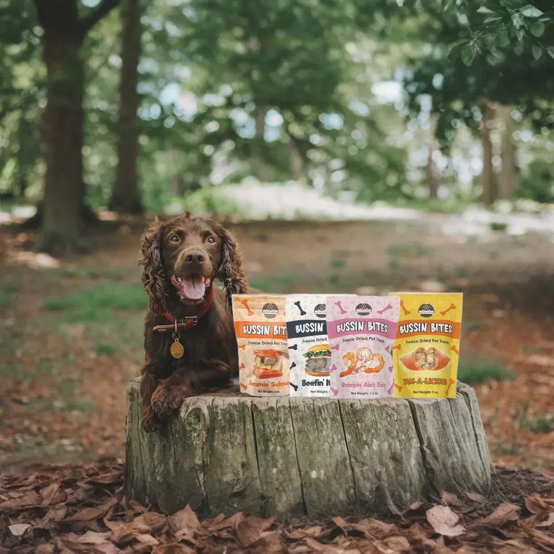 Freeze Dried Dog & Cat Treats – Single Ingredient, High Protein, Grain Free | Natural Cat & Dog Training Snacks, Human-Grade Sweet Potato (Yam)