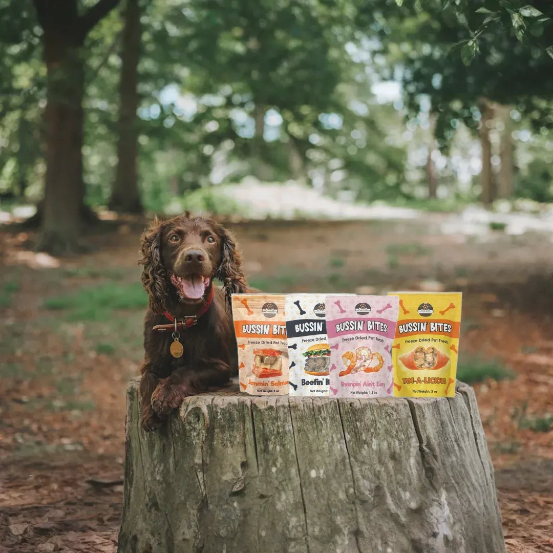 Freeze Dried Dog & Cat Treats – Single Ingredient, High Protein, Grain Free | Natural Cat & Dog Training Snacks, Human-Grade Salmon