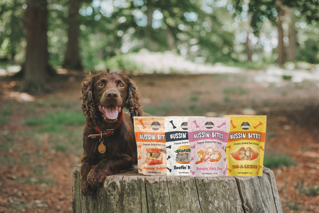 Freeze Dried Dog & Cat Treats – Single Ingredient, High Protein, Grain Free | Natural Cat & Dog Training Snacks, Human-Grade Shrimp