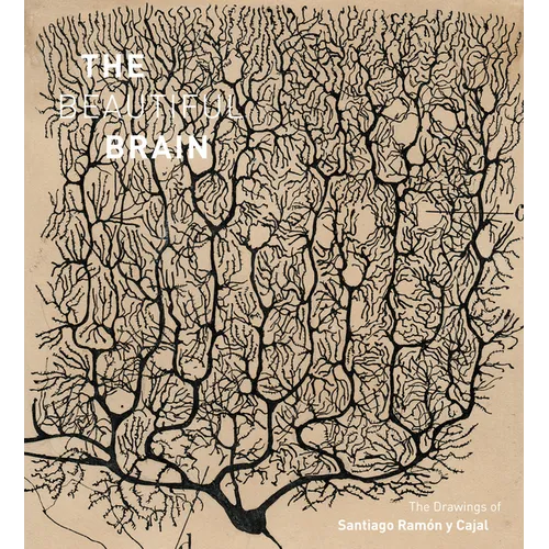 The Beautiful Brain: The Drawings of Santiago Ramon Y Cajal - Hardcover