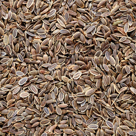Dill Seeds