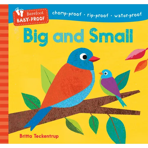 Barefoot Baby-Proof: Big and Small