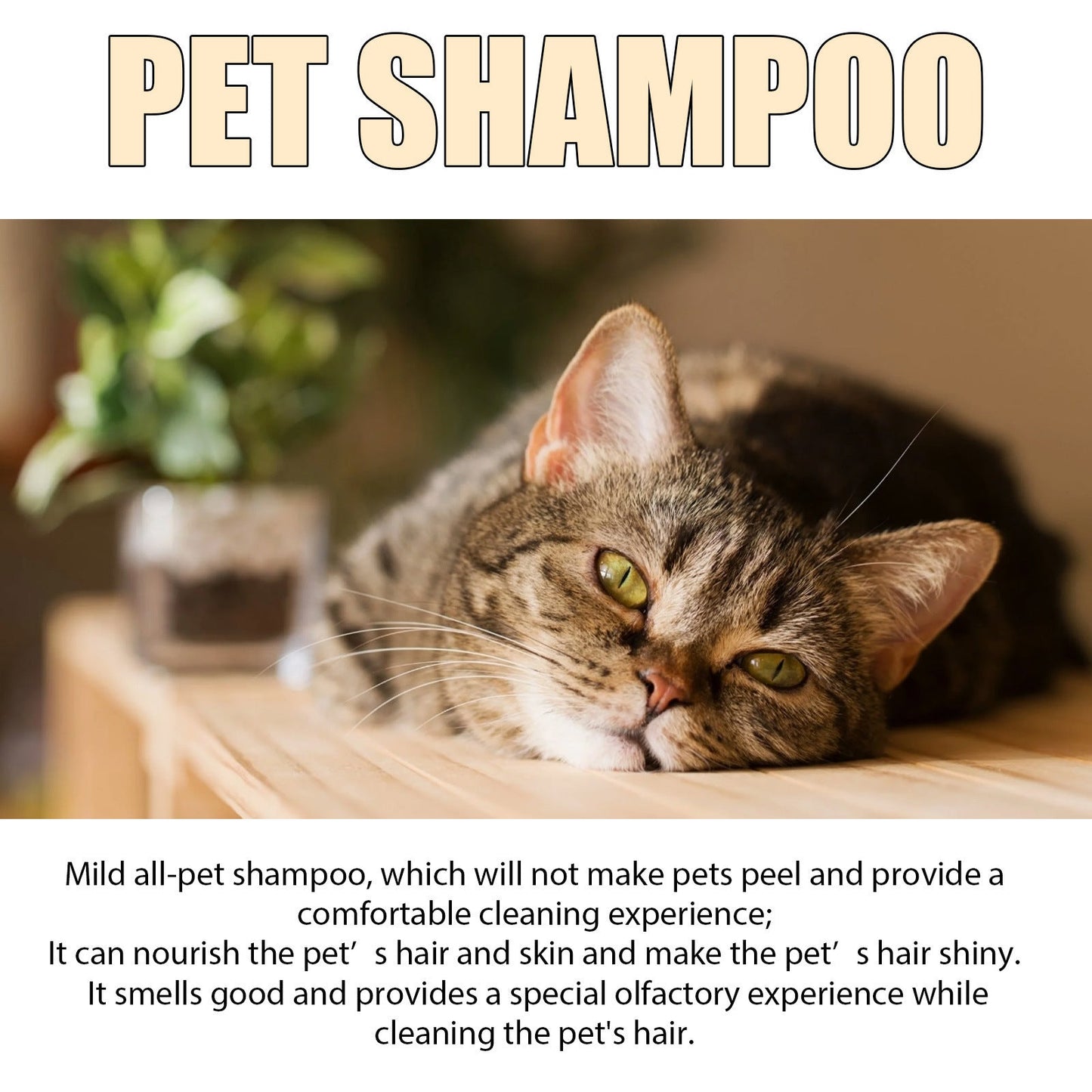 Dog Wet Shampoo