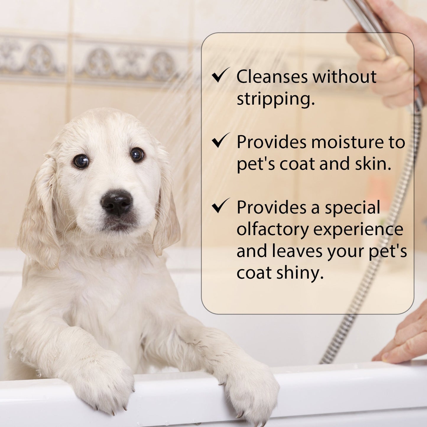 Dog Wet Shampoo