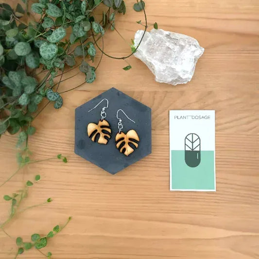 Young Monstera Deliciosa Wooden Earrings