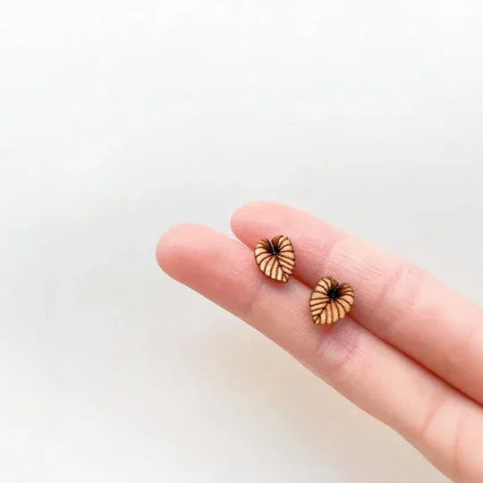 Mini Wooden Earring Studs Prop Set