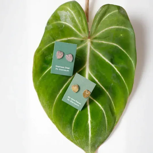 Philodendron Gloriosum Metal Stud Earrings