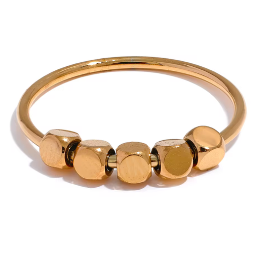 Stainless Steel Fidget Ring