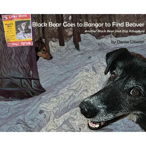 Black Bear Goes to Bangor to Find Beaver