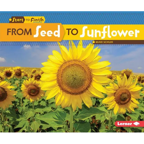 From Seed to Sunflower