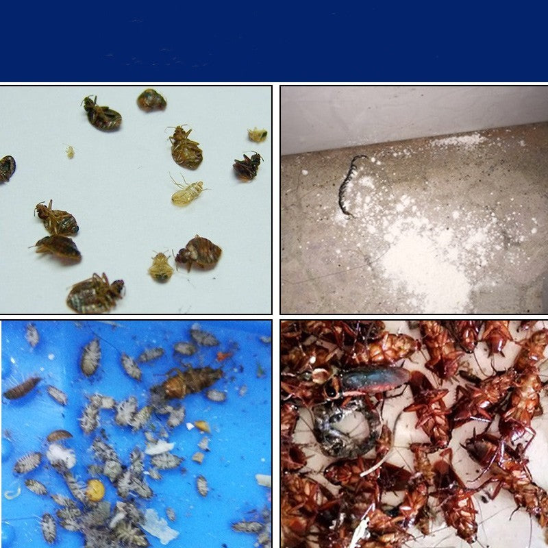 Insecticide Flea, cockroach bait Powder Household Bed Go Up To Kill Tide Insect Medicine Indoor Bedbugs