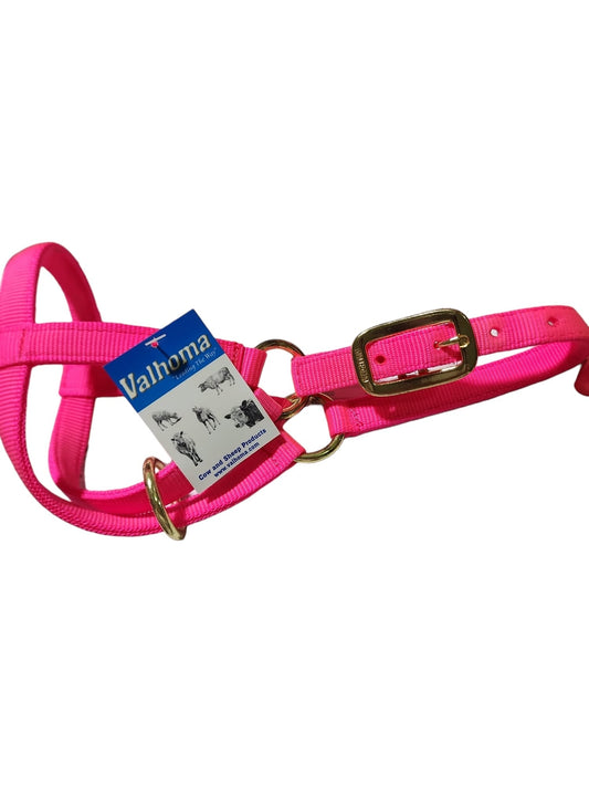 Valhoma: Halter - Goat Nanny - Hot Pink