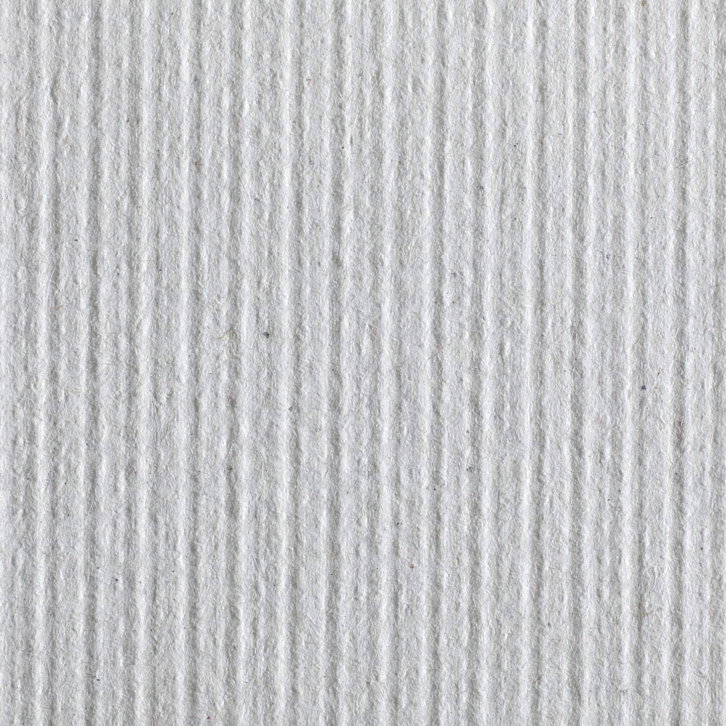 Pacific Blue Basic™ Paper Towel, 6 Rolls per Case 26601