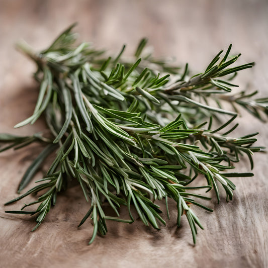 Rosemary Botanical Extract Powder