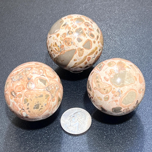 Leopardite Sphere (4 CM)(Leopard Skin Jasper) Bulk Wholesale Lot Polished Gemstone Decor Carving