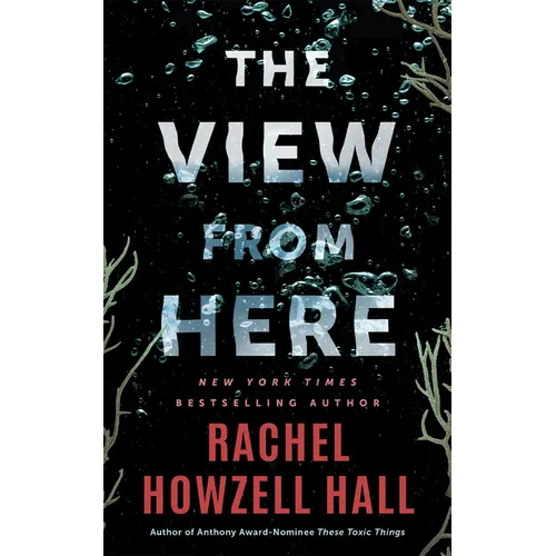 The View from Here: A Thriller
