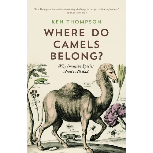 Where Do Camels Belong?: Why Invasive Species Aren't All Bad