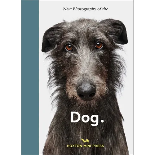 New Photography of the Dog.