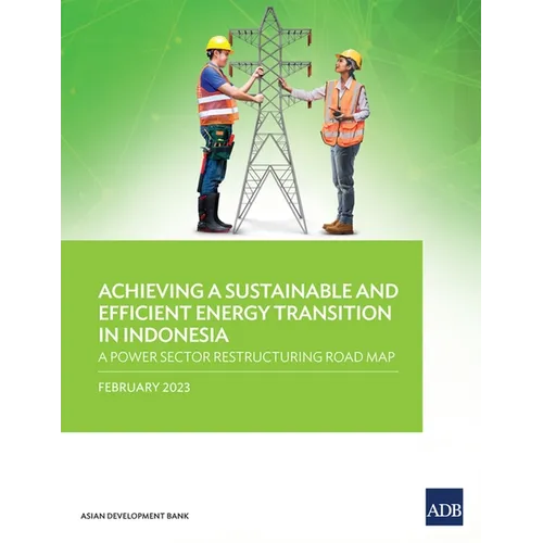 Achieving a Sustainable and Efficient Energy Transition in Indonesia: A Power Sector Restructuring Road Map