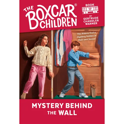 Mystery Behind the Wall