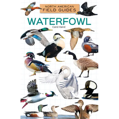 Waterfowl