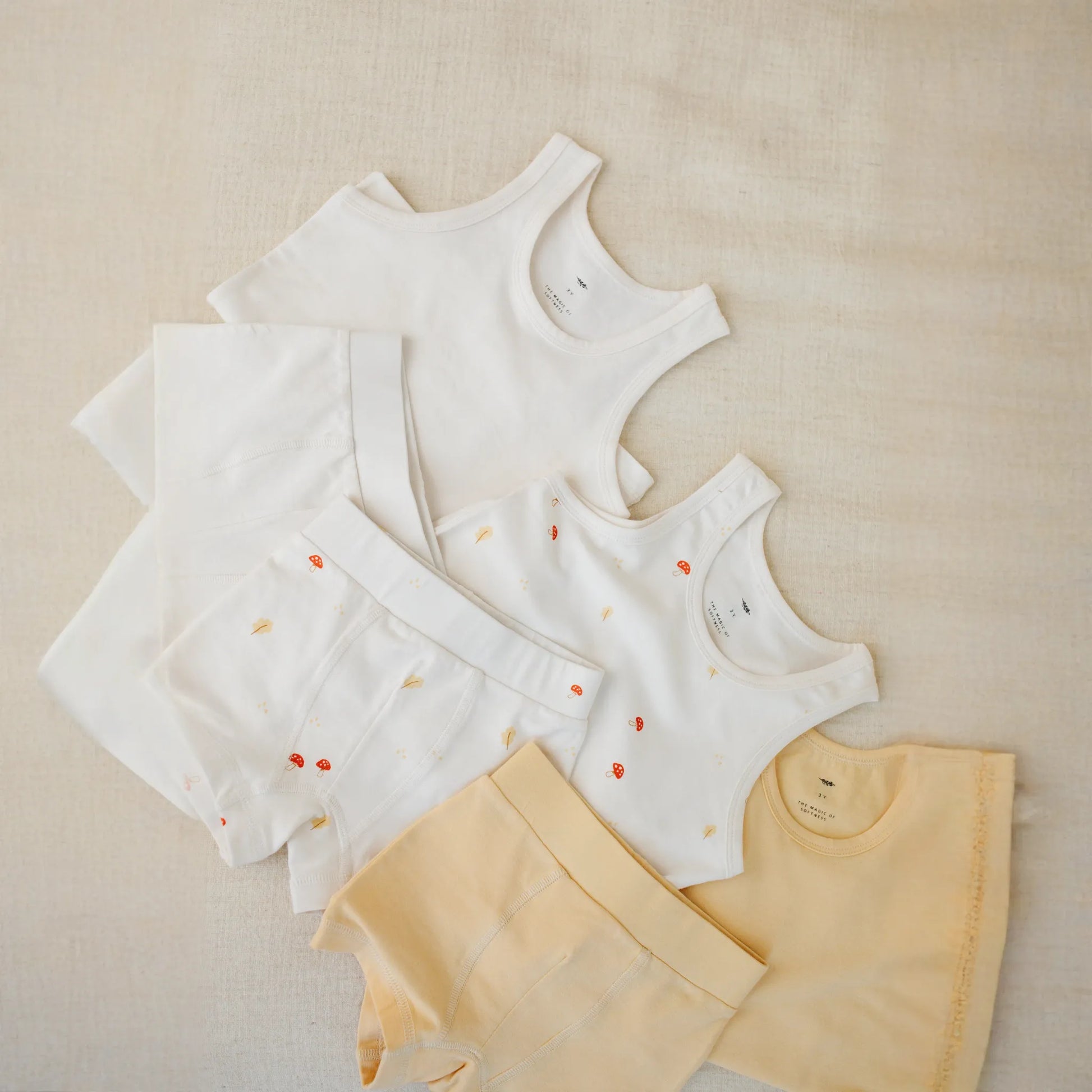 Boy's Shorts Set