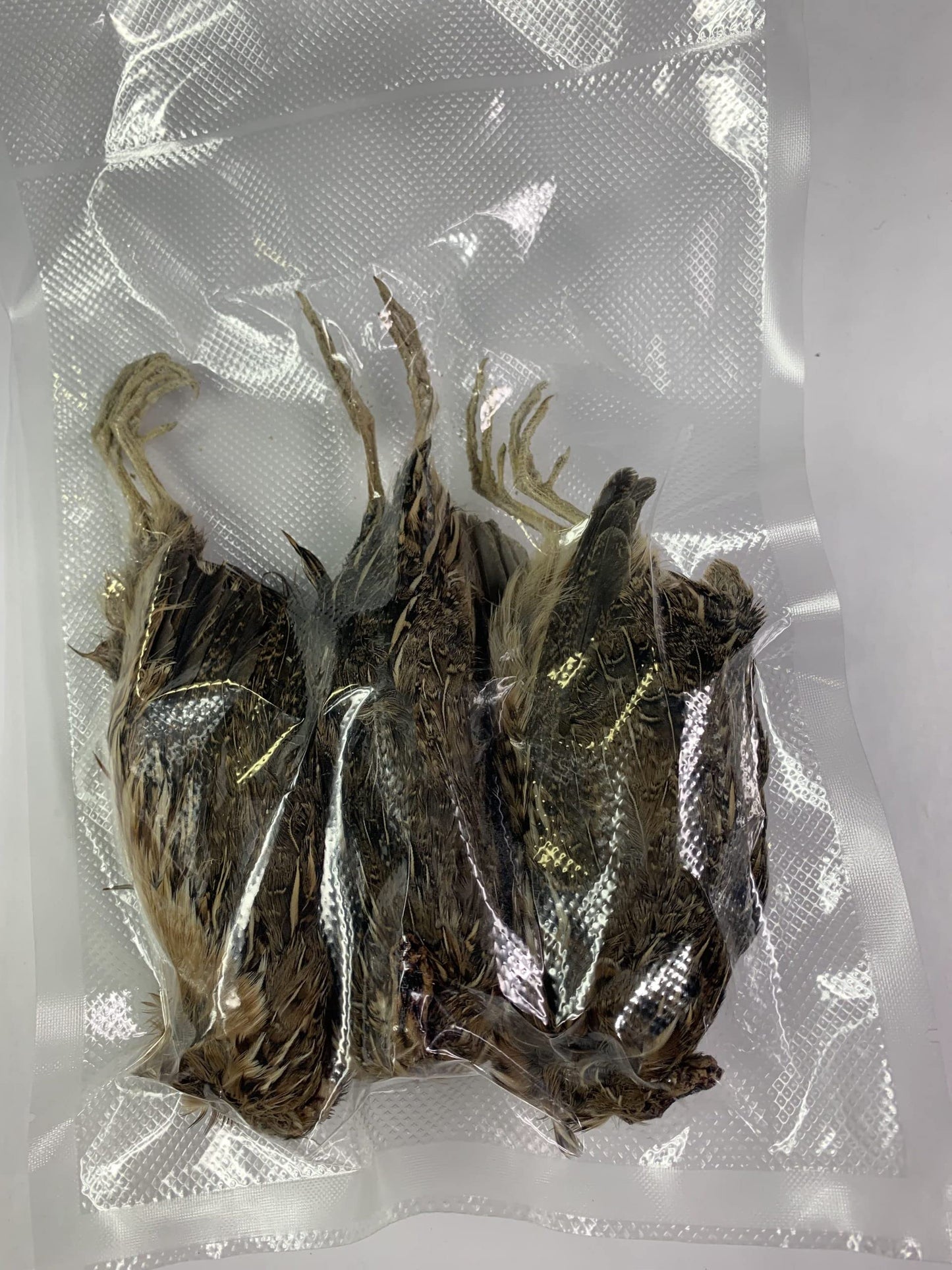 Quail Whole Pray dehydrated for Bird Dog Training or Falconry