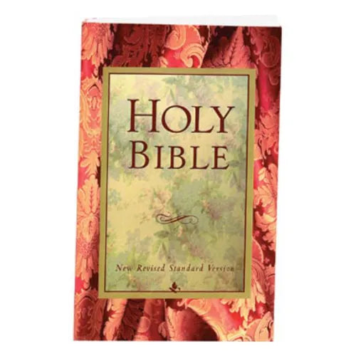 Holy Bible-NRSV - Paperback