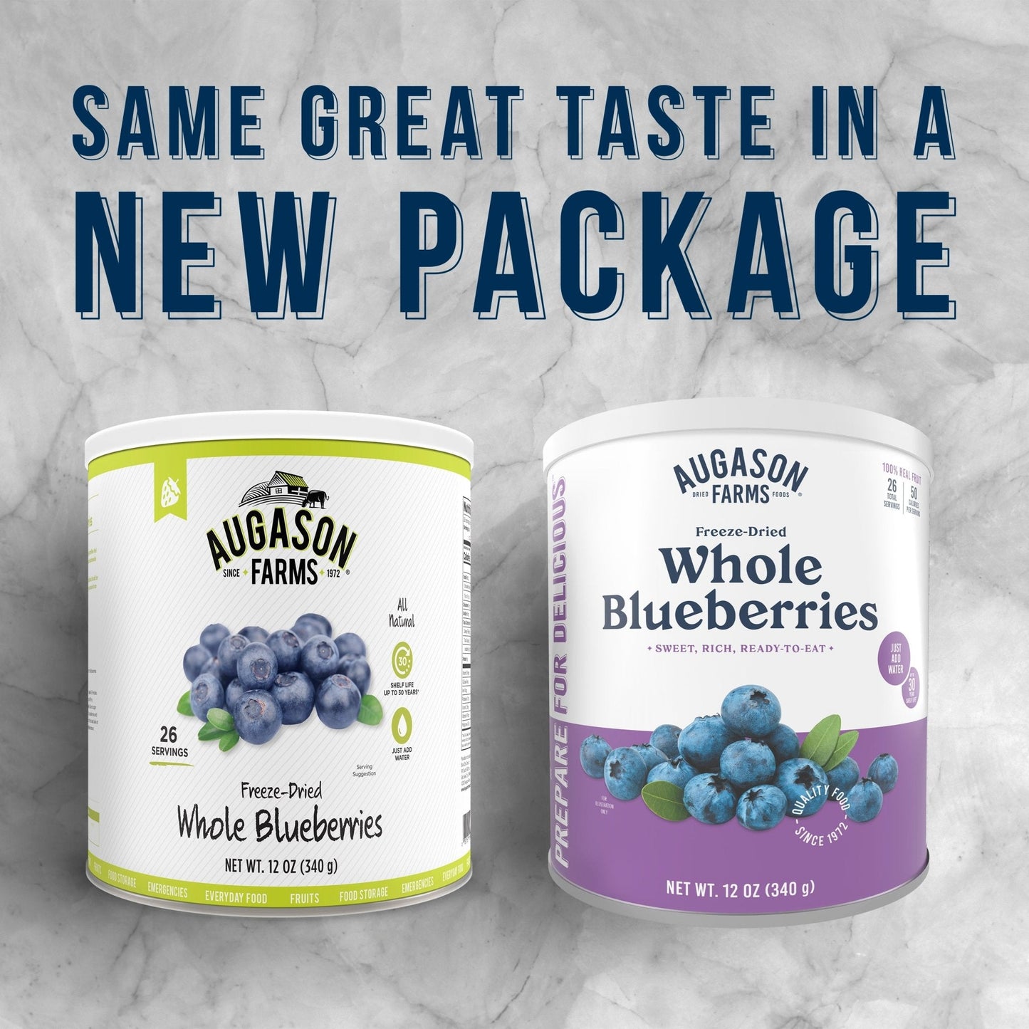 Freeze Dried Whole Blueberries Can, 26 Servings