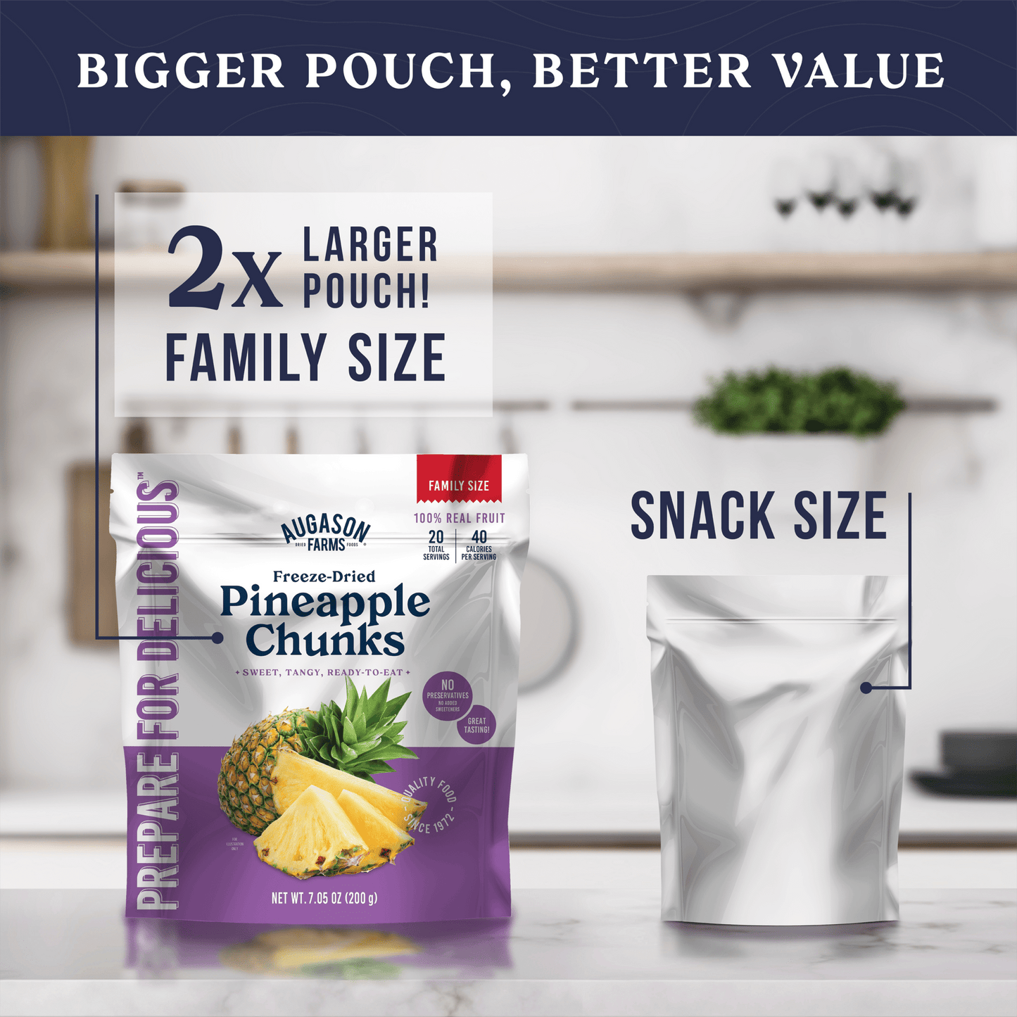 Freeze Dried Pineapple Pieces Family Size Pouch, 20 Servings