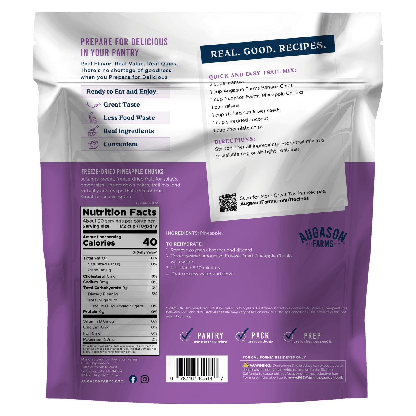 Freeze Dried Pineapple Pieces Family Size Pouch, 20 Servings