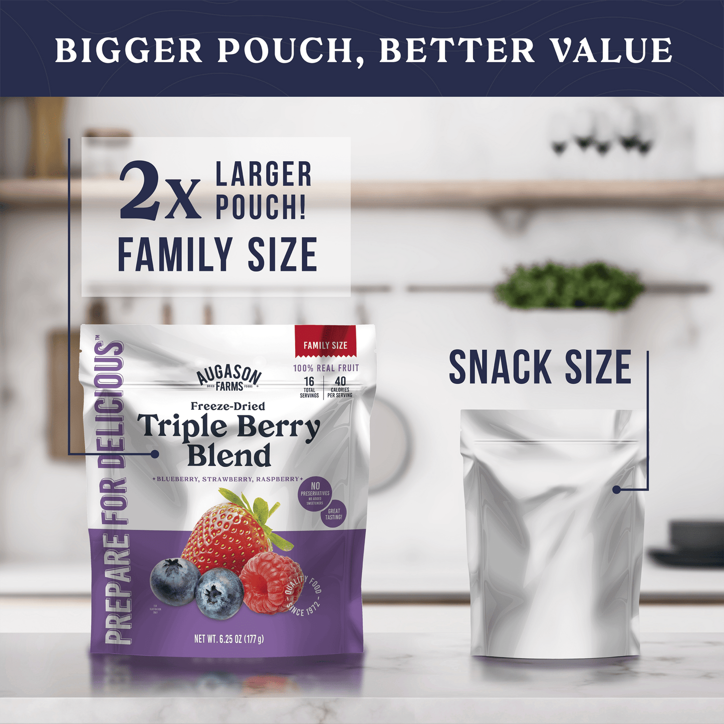 Freeze Dried Triple Berry Blend Family Size Pouch, 16 Servings