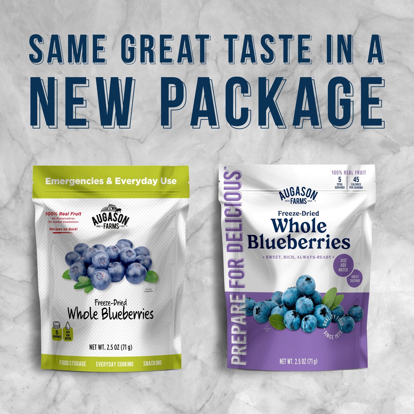 Freeze Dried Whole Blueberries Pouch, 5 Servings