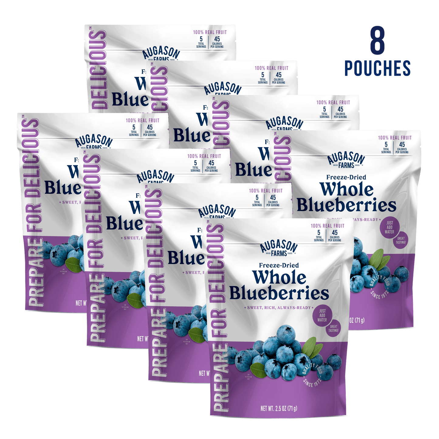 Freeze Dried Whole Blueberries Pouch, 5 Servings