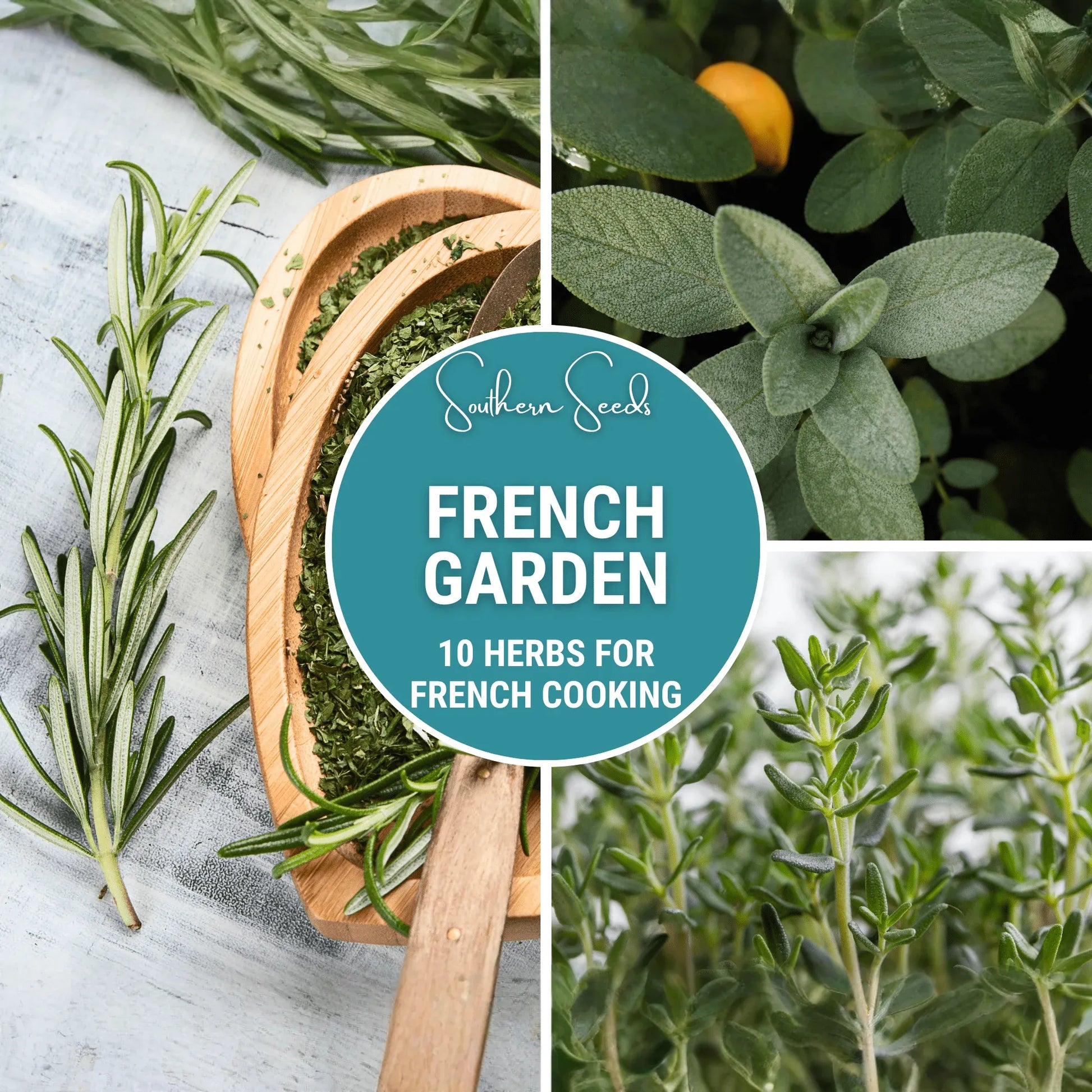 French Garden Seed Collection – 10 Varieties