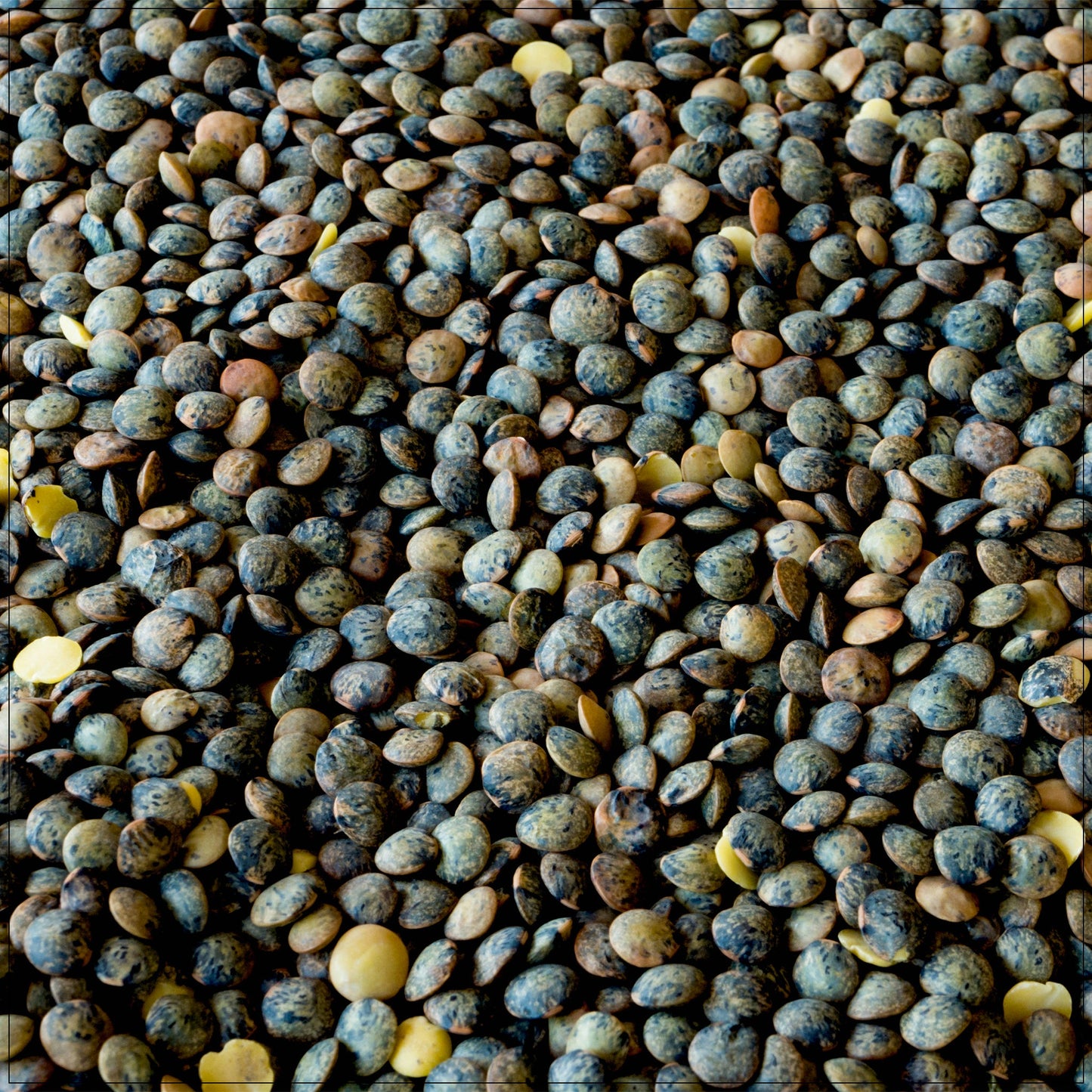 French Lentils