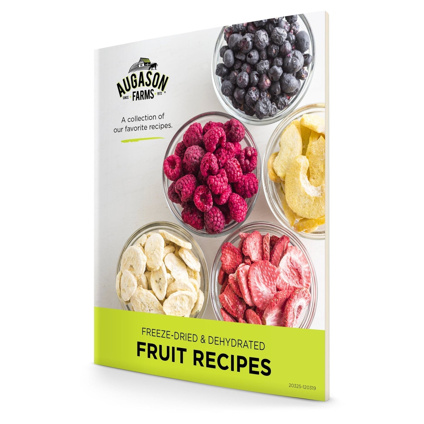 Dehydrated & Freeze Dried Fruit Variety Pail, 86 Servings