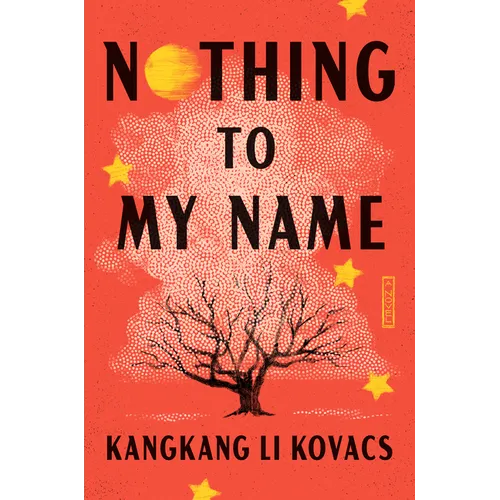Nothing to My Name