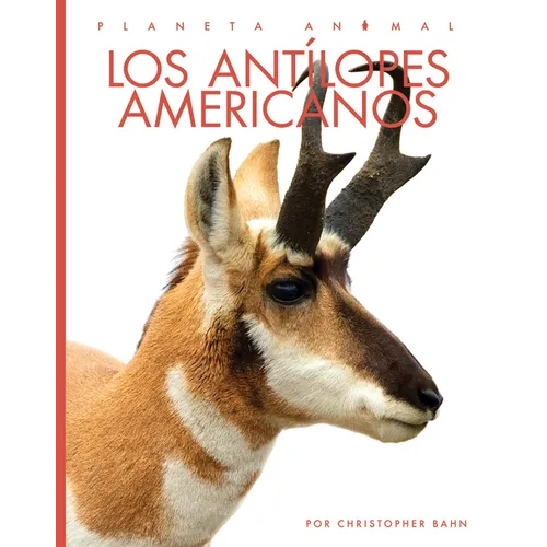 Los Antilopes Americanos