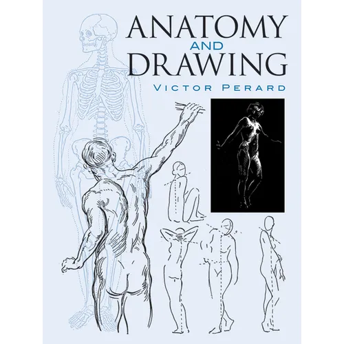 Anatomy and Drawing