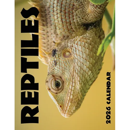 Reptiles 2026 Calendar