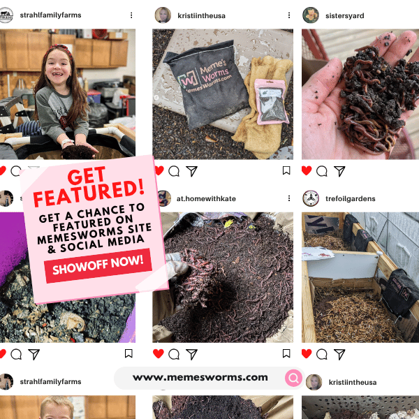 Oyster Shell Flour For Sale For Composting