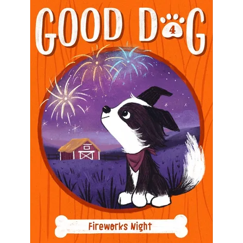 Fireworks Night