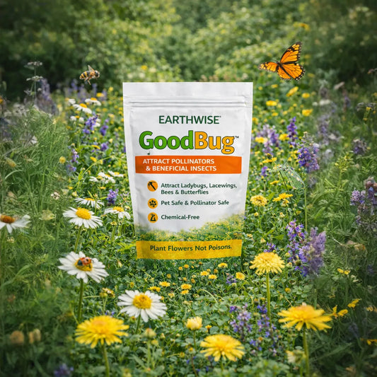 GoodBug™ Wildflower Mix A Natural Way to Fight Garden Pests—Without Chemicals