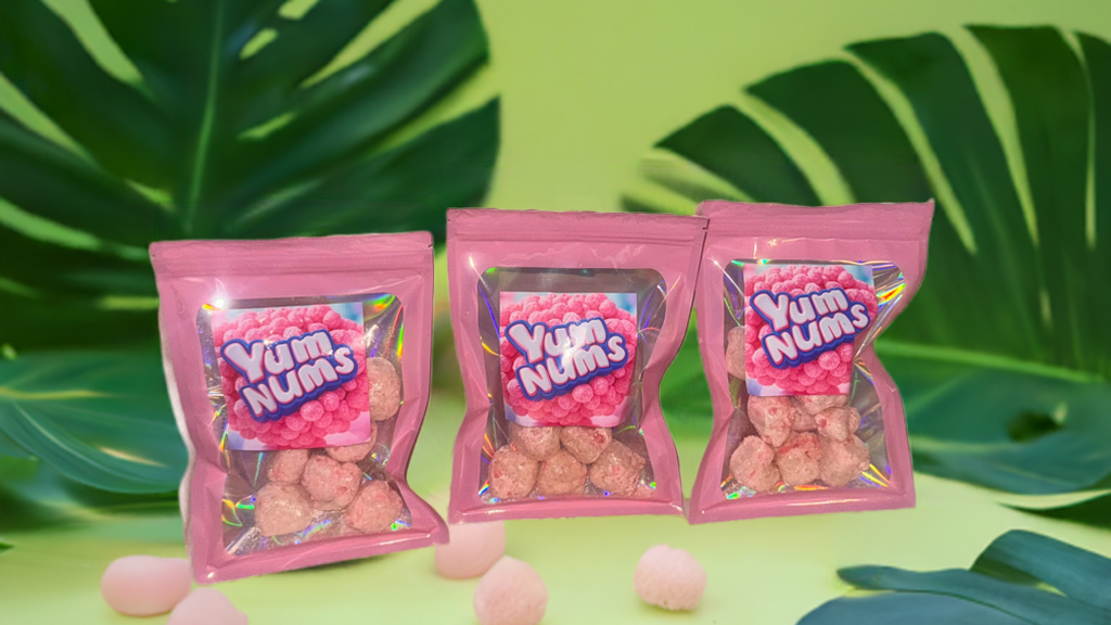 🍉 Watermelon YumNums Freeze-Dried Candy – 3-Pack of Crunchy, Juicy, Handcrafted Goodness