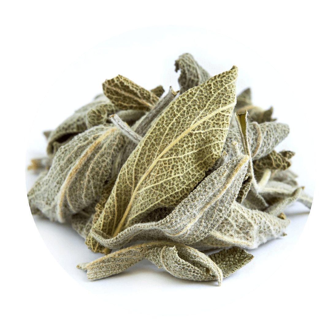 Greek Sage (Crete)