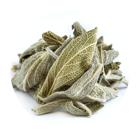 Greek Sage (Crete)
