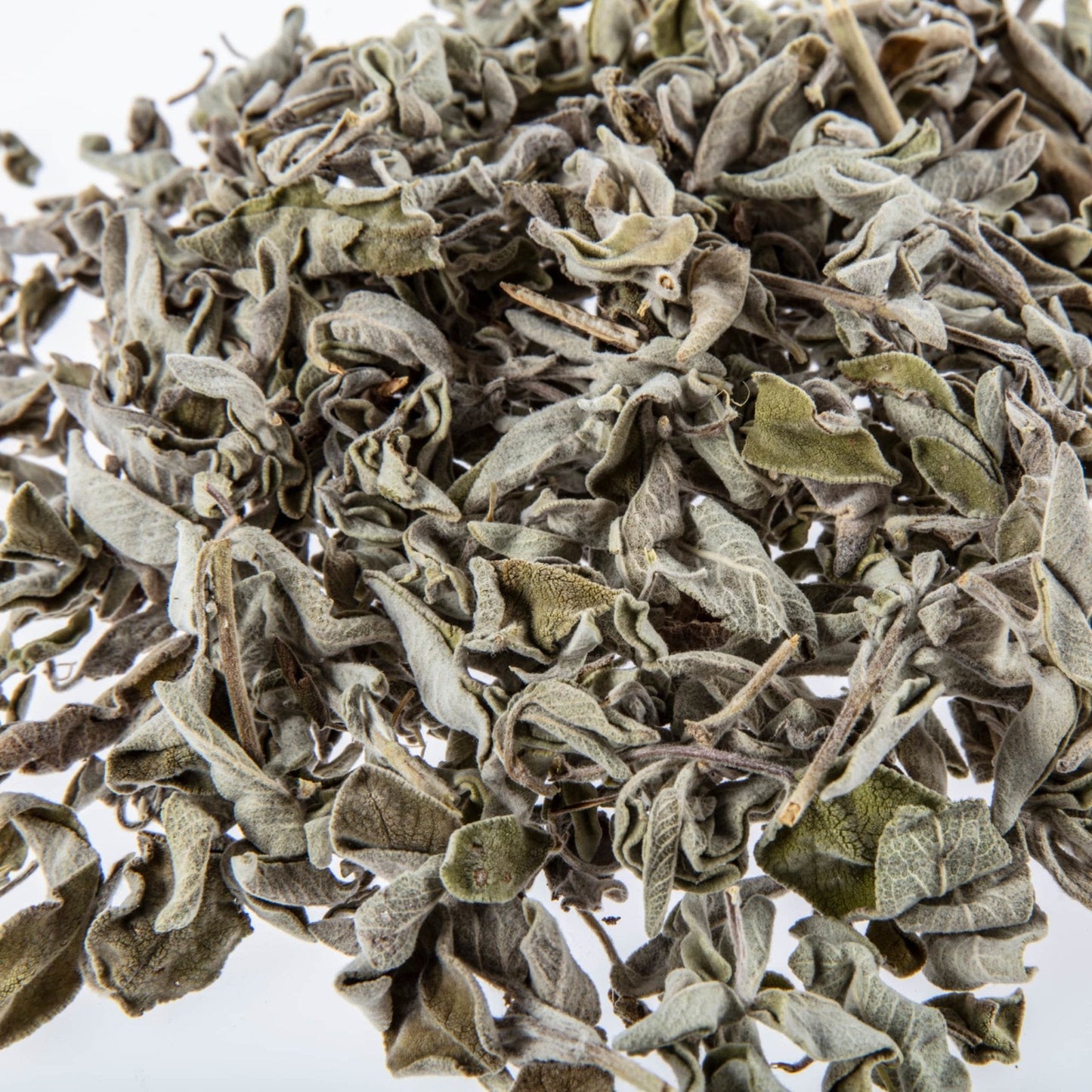 Greek Sage (Crete)